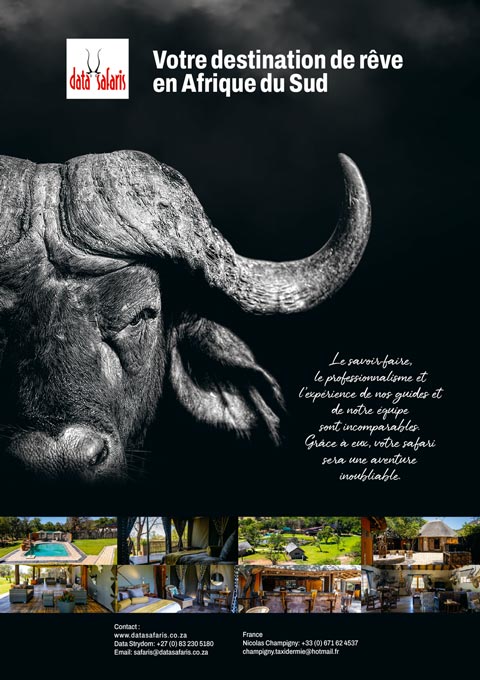 data-safaris_charc84