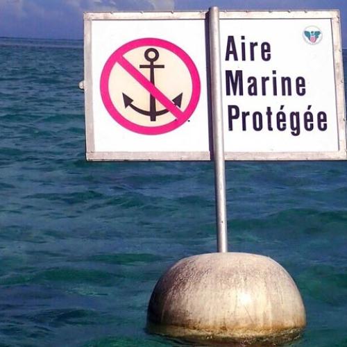 La France renforce  ses aires marines protégées