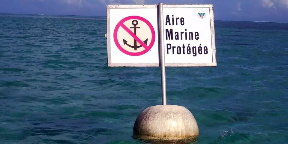 La France renforce  ses aires marines protégées